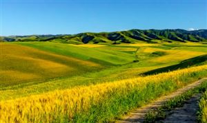 YY易游：智能健身產(chǎn)業(yè)市場(chǎng)深度調(diào)研報(bào)告2024：行業(yè)整體呈現(xiàn)出更加專業(yè)化、個(gè)性化的趨勢(shì)(圖3)
