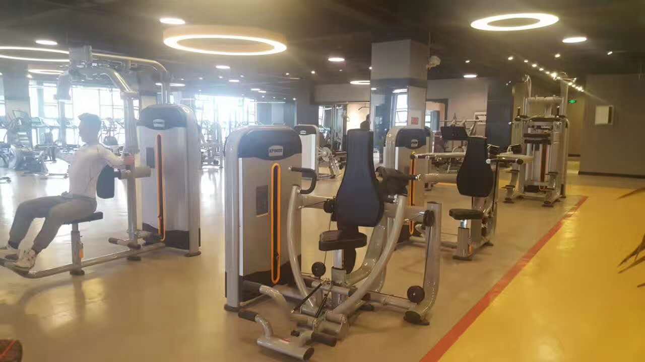健身房的15大常用健身器材(圖1)