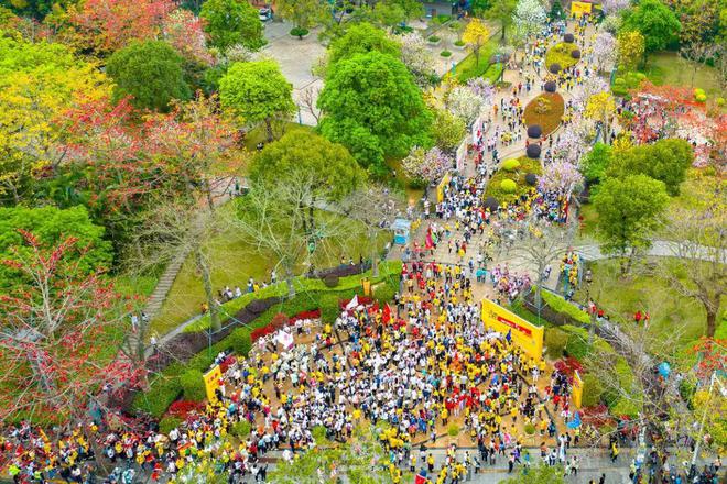 “開始的時(shí)候100斤走完變105斤！”2025佛山50公里徒步又吃又玩！哪個(gè)年齡段最能走