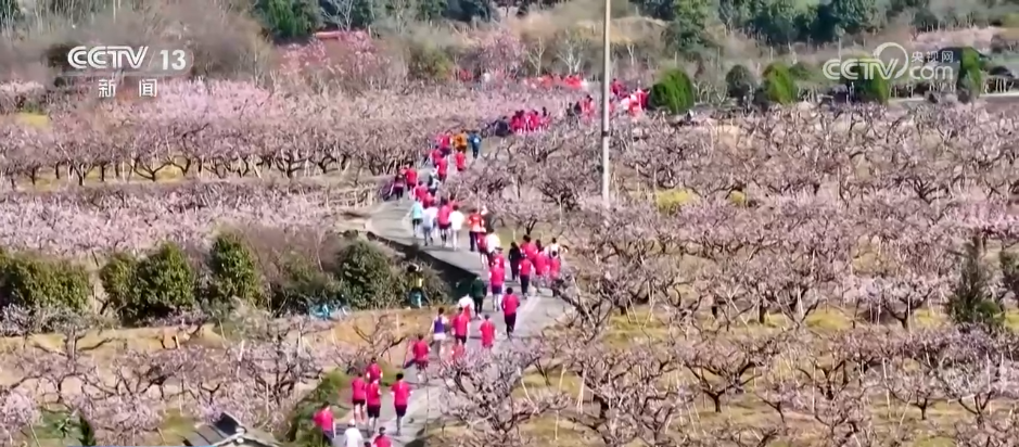 “賽事+文旅”火爆春日各地賽事“流量”加速轉(zhuǎn)化為經(jīng)濟“增量”(圖3)