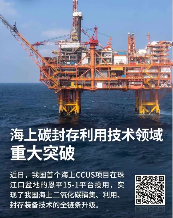 中德雙城同日擊槳荊州龍舟走向世界(圖6)