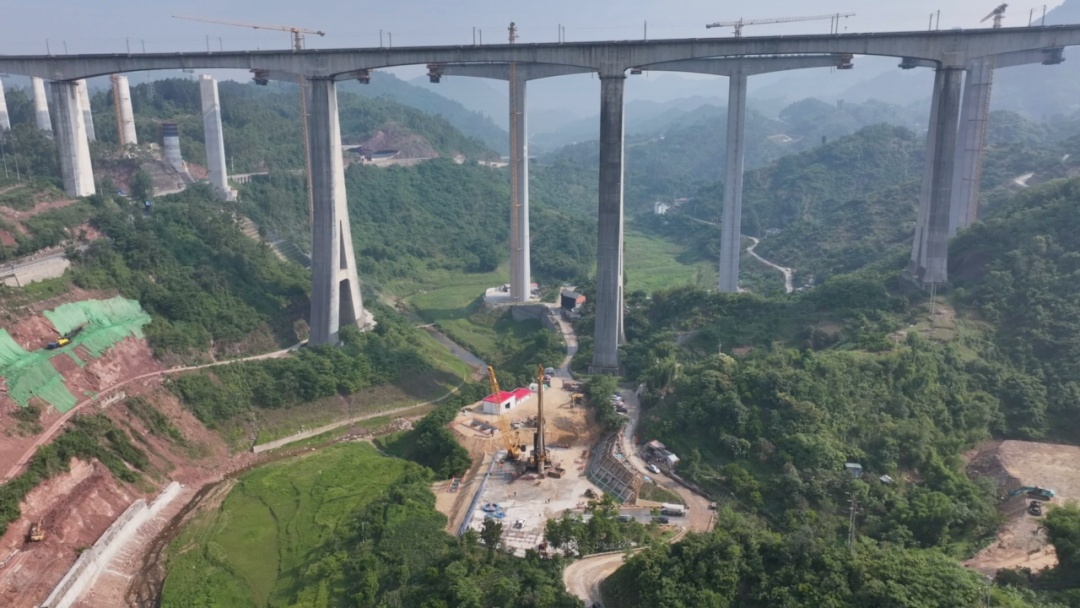 中德雙城同日擊槳荊州龍舟走向世界(圖7)